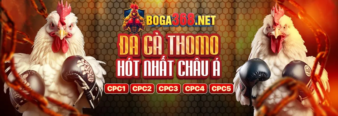 Đá gà trực tuyến lucky888 code